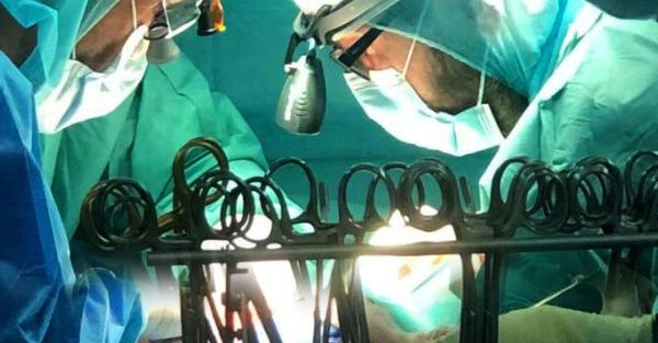 29032022-ino réussit une transplantation hépatique à partir d-un donneur vivant