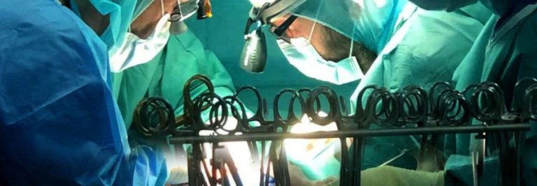 29032022-ino réussit une transplantation hépatique à partir d-un donneur vivant